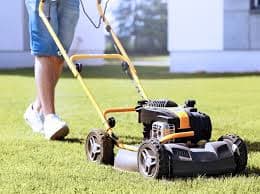 Lawn care illustration